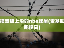 摸篮板上沿的nba球星(麦基助跑摸高)