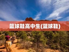 篮球鞋高中生(篮球鞋)