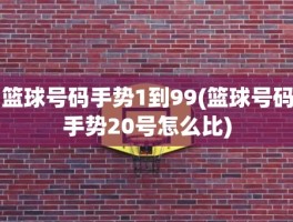 篮球号码手势1到99(篮球号码手势20号怎么比)