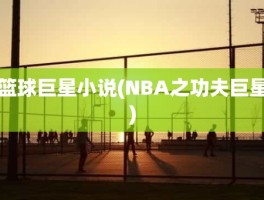 篮球巨星小说(NBA之功夫巨星)