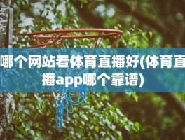 哪个网站看体育直播好(体育直播app哪个靠谱)