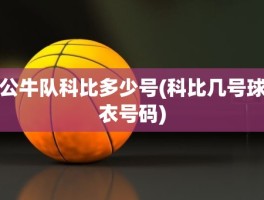 公牛队科比多少号(科比几号球衣号码)