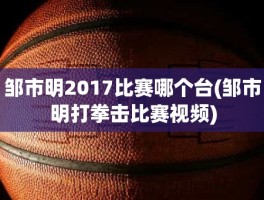 邹市明2017比赛哪个台(邹市明打拳击比赛视频)