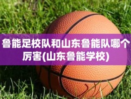鲁能足校队和山东鲁能队哪个厉害(山东鲁能学校)
