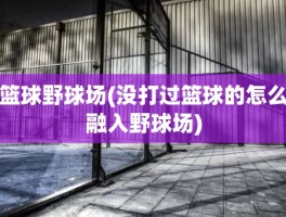 篮球野球场(没打过篮球的怎么融入野球场)