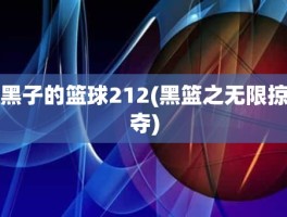 黑子的篮球212(黑篮之无限掠夺)
