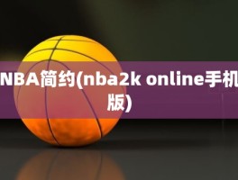 NBA简约(nba2k online手机版)