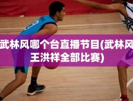 武林风哪个台直播节目(武林风王洪祥全部比赛)