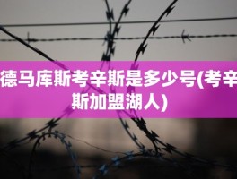 德马库斯考辛斯是多少号(考辛斯加盟湖人)