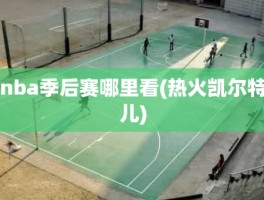 nba季后赛哪里看(热火凯尔特儿)