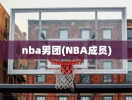 nba男团(NBA成员)