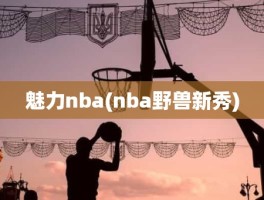 魅力nba(nba野兽新秀)