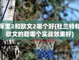 库里2和欧文2哪个好(杜兰特和欧文的鞋哪个实战效果好)