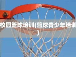 校园篮球培训(篮球青少年培训)