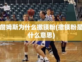 詹姆斯为什么撒镁粉(撒镁粉是什么意思)