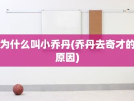 为什么叫小乔丹(乔丹去奇才的原因)