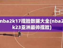 nba2k17捏脸数据大全(nba2k23亚洲最帅捏脸)