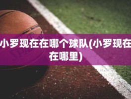 小罗现在在哪个球队(小罗现在在哪里)