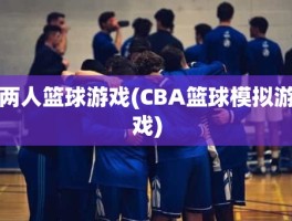 两人篮球游戏(CBA篮球模拟游戏)