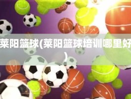 莱阳篮球(莱阳篮球培训哪里好)