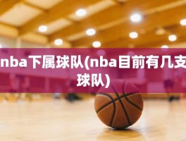 nba下属球队(nba目前有几支球队)