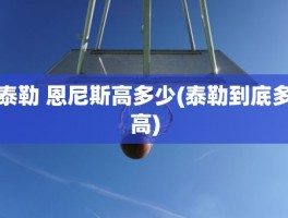 泰勒 恩尼斯高多少(泰勒到底多高)