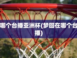 哪个台播亚洲杯(梦回在哪个台播)