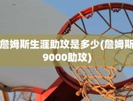 詹姆斯生涯助攻是多少(詹姆斯9000助攻)