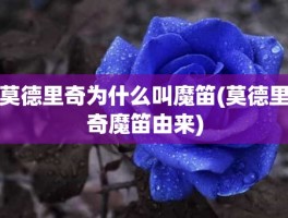 莫德里奇为什么叫魔笛(莫德里奇魔笛由来)