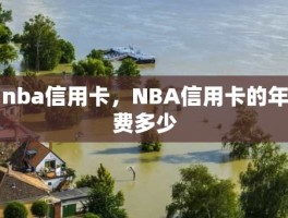 nba信用卡，NBA信用卡的年费多少