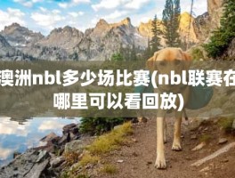 澳洲nbl多少场比赛(nbl联赛在哪里可以看回放)