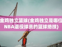 金鸡独立篮球(金鸡独立是哪位NBA退役球员的篮球绝技)