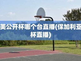 美公开杯哪个台直播(保加利亚杯直播)