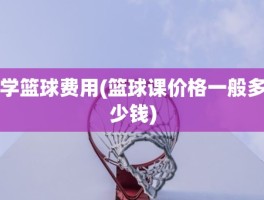学篮球费用(篮球课价格一般多少钱)