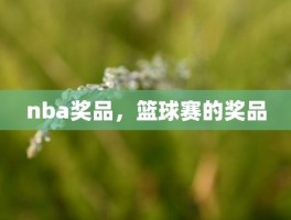 nba奖品，篮球赛的奖品