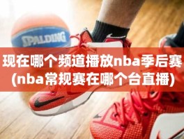 现在哪个频道播放nba季后赛(nba常规赛在哪个台直播)