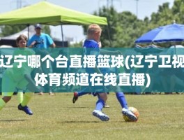 辽宁哪个台直播篮球(辽宁卫视体育频道在线直播)