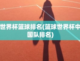世界杯篮球排名(篮球世界杯中国队排名)