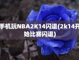 手机玩NBA2K14闪退(2k14开始比赛闪退)