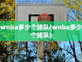 wnba多少个球队(wnba多少个球队)