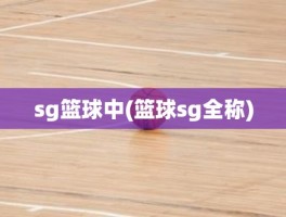 sg篮球中(篮球sg全称)