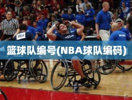 篮球队编号(NBA球队编码)