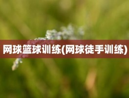 网球篮球训练(网球徒手训练)