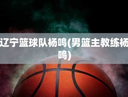 辽宁篮球队杨鸣(男篮主教练杨鸣)