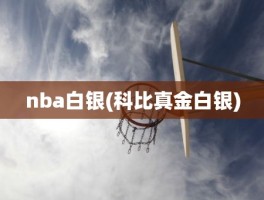 nba白银(科比真金白银)