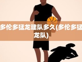 多伦多猛龙建队多久(多伦多猛龙队)