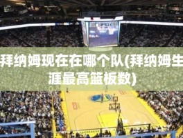 拜纳姆现在在哪个队(拜纳姆生涯最高篮板数)