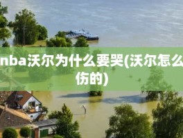 nba沃尔为什么要哭(沃尔怎么伤的)