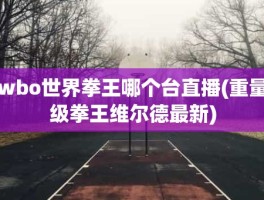 wbo世界拳王哪个台直播(重量级拳王维尔德最新)