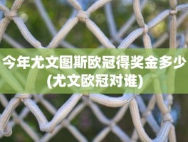 今年尤文图斯欧冠得奖金多少(尤文欧冠对谁)